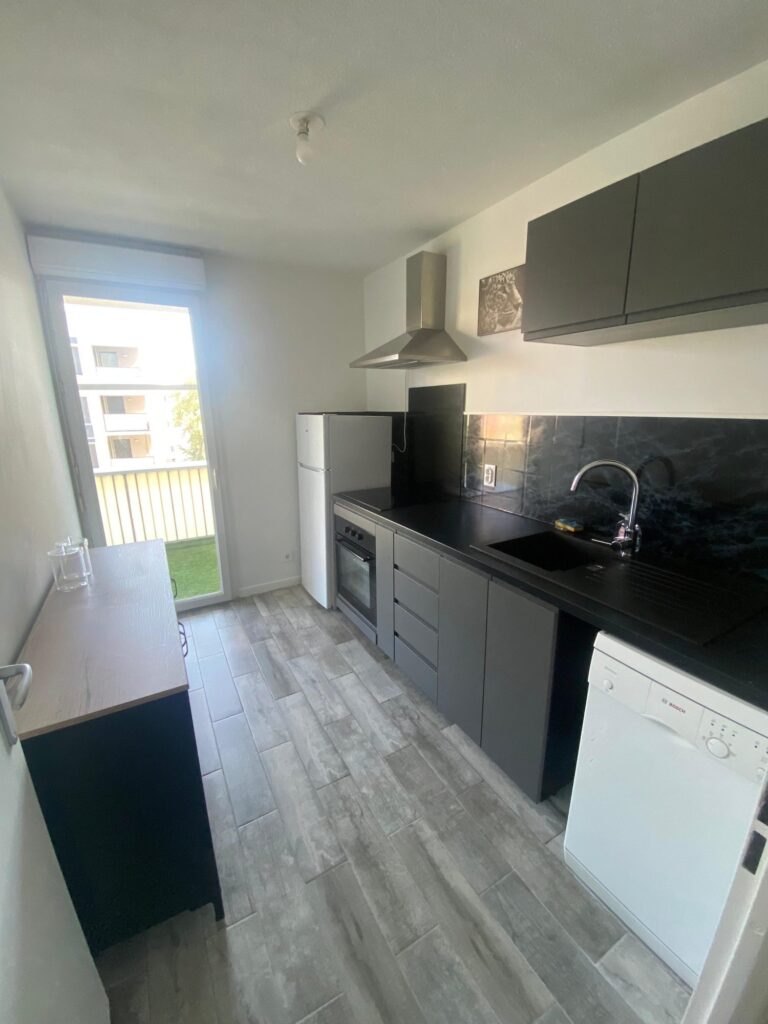 Magnifique T3 refait à neuf